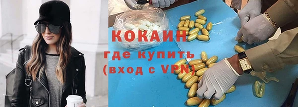гашик Гусев