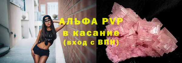 ECSTASY Гусь-Хрустальный