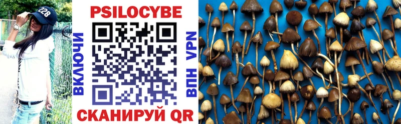 Псилоцибиновые грибы прущие грибы  Стерлитамак 